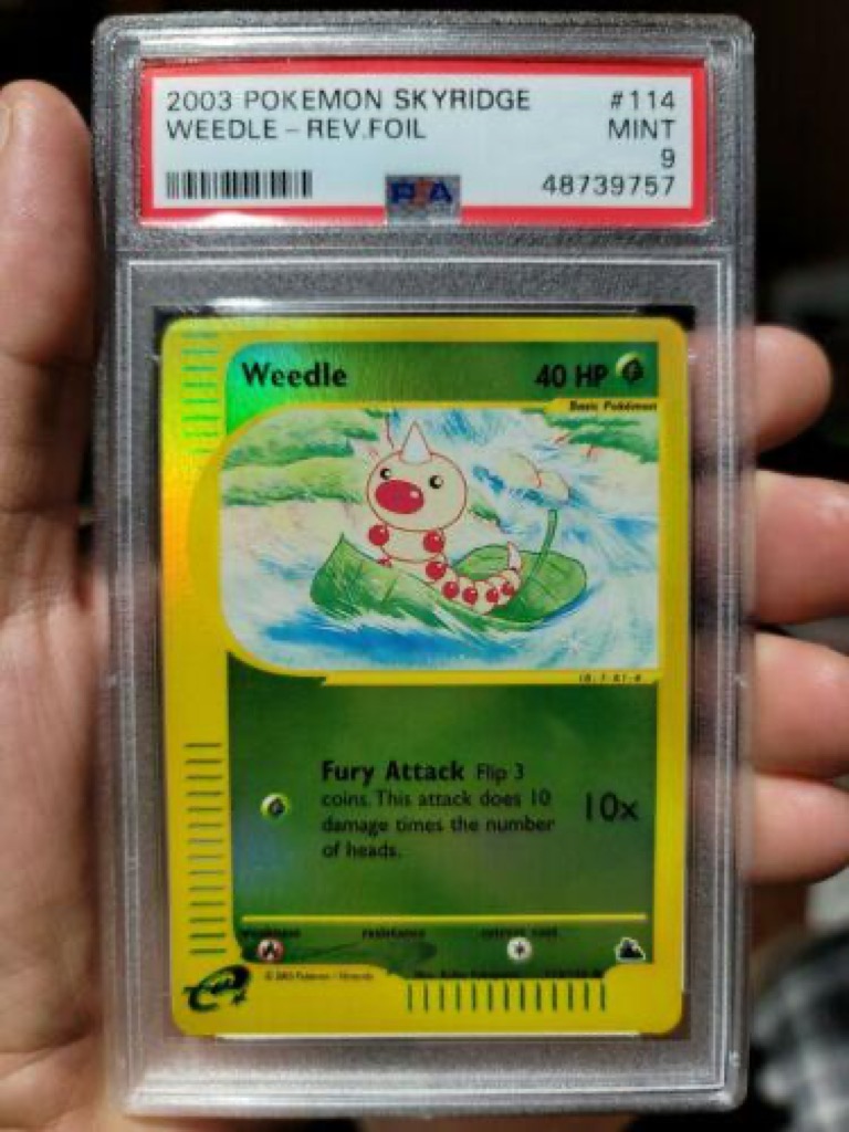 Reverse Holo Weedle 114/144, Skyridge Pokémon card