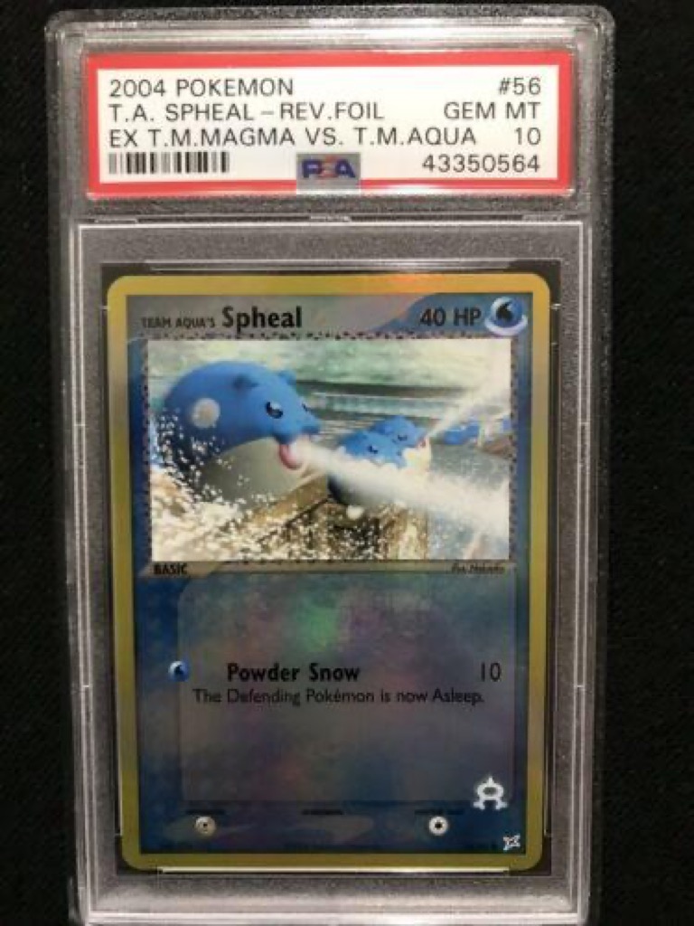Reverse Holo Team Aqua's Spheal 56/95, Team Magma vs Team Aqua Pokémon card
