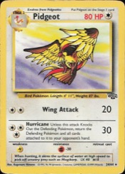 Pidgeot 24/64, Jungle