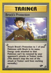 Brock's Protection 101/132 Gym Challenge