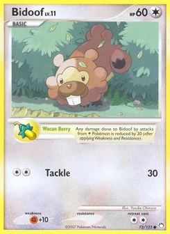 Bidoof 73/123, Mysterious Treasures