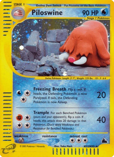 Piloswine H22 from Skyridge