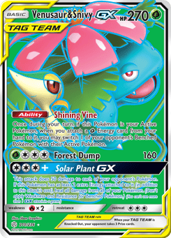 Venusaur & Snivy-GX 210/236, Cosmic Eclipse