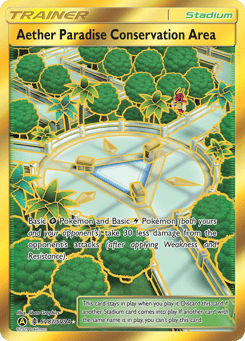 Aether Paradise Conservation Area SV87 Hidden Fates Shiny Vault