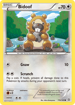 Bidoof 116/160, Primal Clash