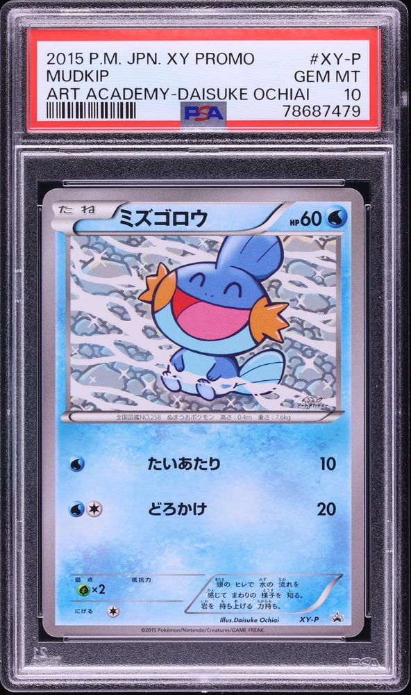 Art Academy Mudkip (Japanese), Art Academy contest promo
